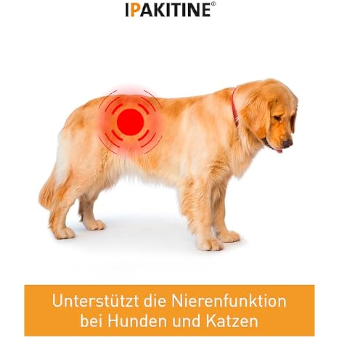 Vetoquinol Ipakitine Kidney Support Phosphate Reducer for Cats - 180g