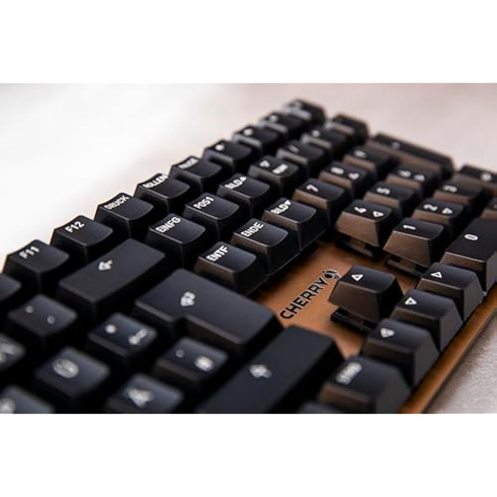 CHERRY KC 200 MX Mechanical Office Keyboard | MX2A Brown Switches