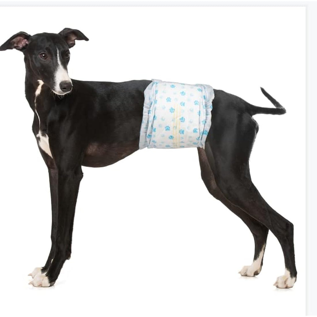 Pet Soft Male Dog Wraps – Super Absorbent Disposable Nappies (48 Pack)