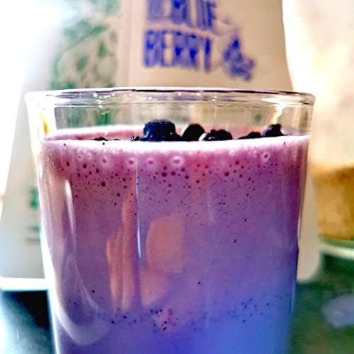 ZingyZoo Freeze Dried Wild Blueberry Powder – 300g Pure Bilberry Superfood