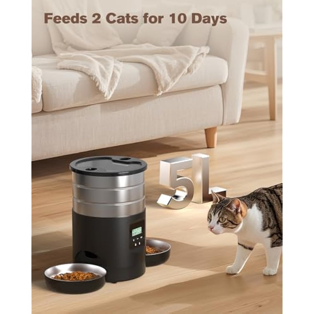 Jolof Store Automatic Cat Feeder for 2 Cats | 5L Stainless Steel Dispenser
