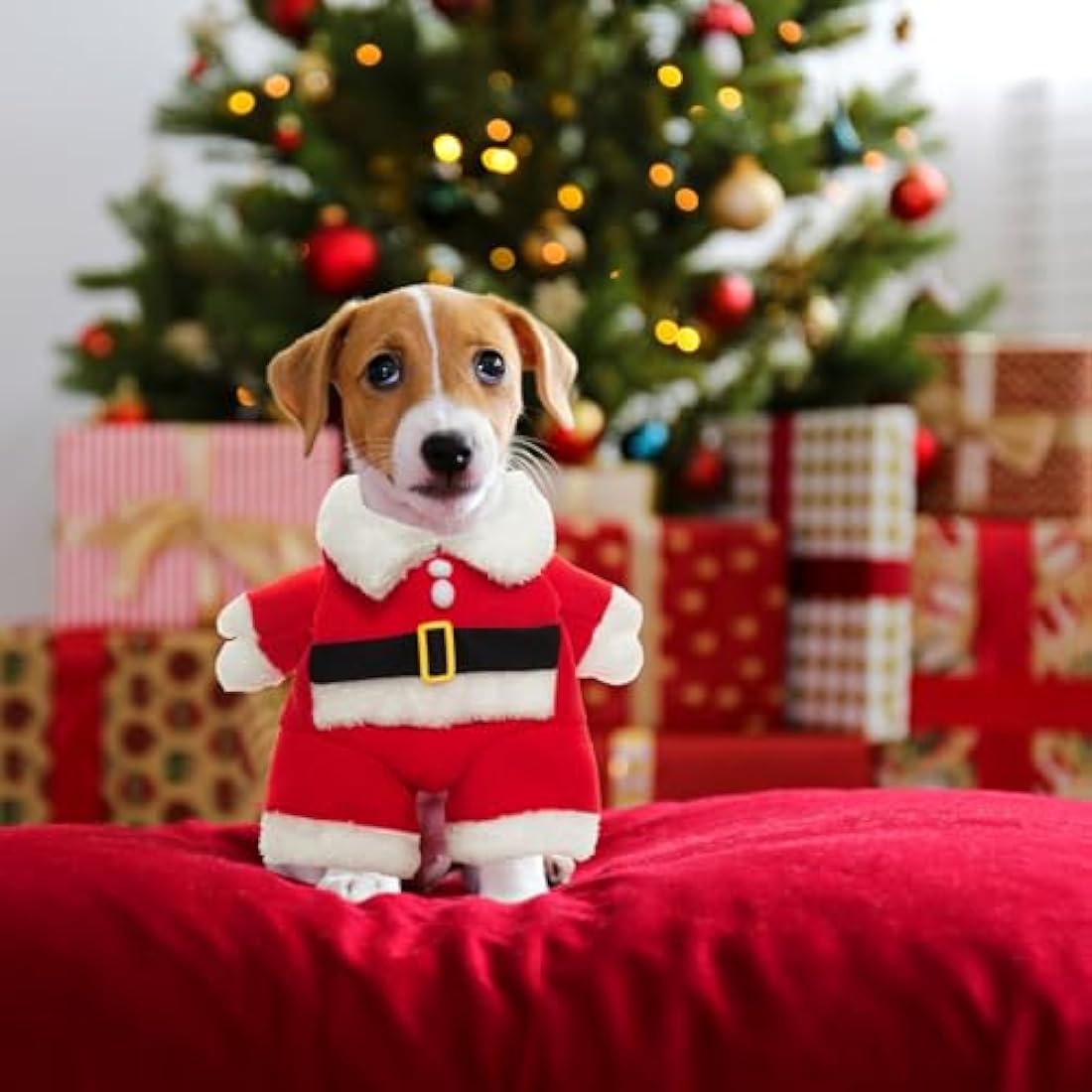 Dog Christmas Santa Costume – Soft Pet Holiday Hoodie | Large