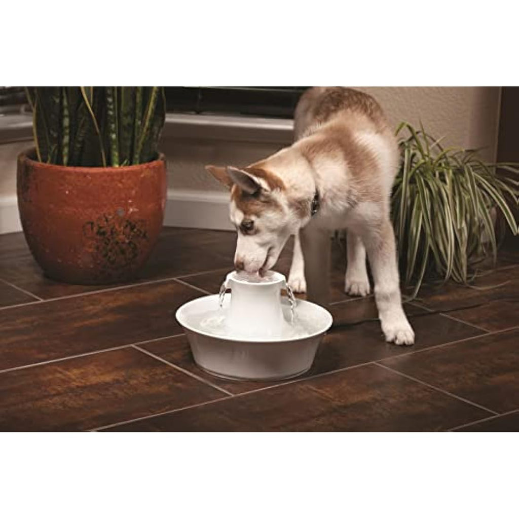 PetSafe Drinkwell Carbon Replacement Filters for Pet Fountains – 4 Pack