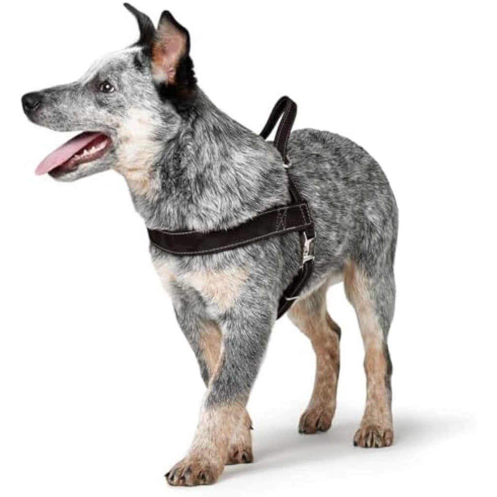 Hunter Norwegian Dog Harness - Durable Black Hunting Gear - 55 x 71-97 cm
