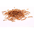 Dried Mealworms for Wild Birds – High-Protein Feed (5kg)
