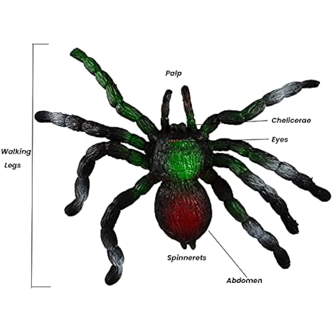 BOHS Stretchy Spider Toy – Realistic Rubber Squishy Prank Bug for Halloween