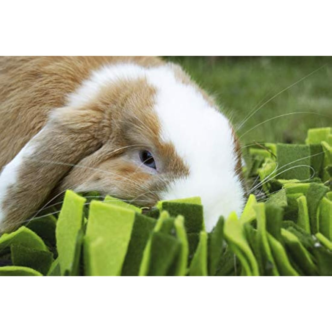 Rosewood Snuffle Forage Mat for Rabbits & Guinea Pigs | 29.5x20cm