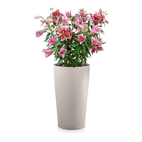 Lechuza CILINDRO Color 23 Self-Watering Planter | Sand Brown Plastic