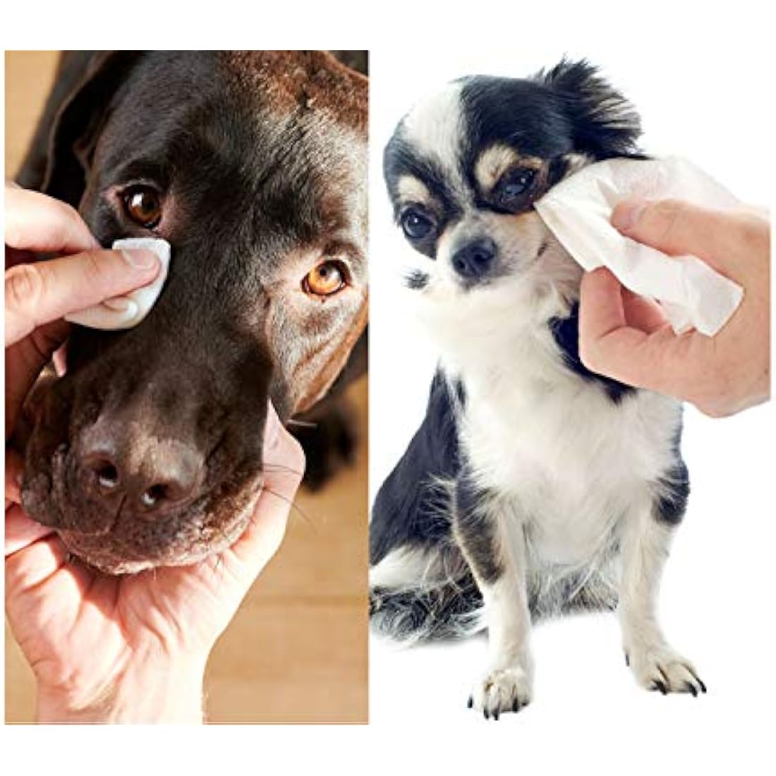 Dog Wipes – Alcohol-Free Pet Cleaning Wipes with Aloe, 60ct