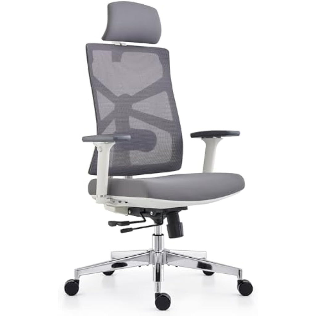 HOLLUDLE Ergonomic Office Chair – High Back Mesh Desk Chair with 4D Armrests
