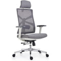 HOLLUDLE Ergonomic Office Chair – High Back Mesh Desk Chair with 4D Armrests