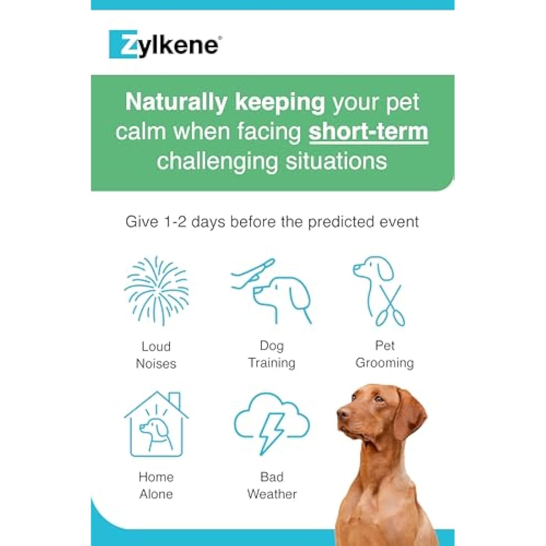 Zylkene Calming Supplement for Medium Dogs 225mg - 20 Capsules