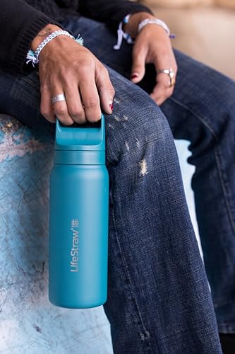 LifeStraw Go Series Insulated Stainless Steel Water Filter Bottle, 24oz