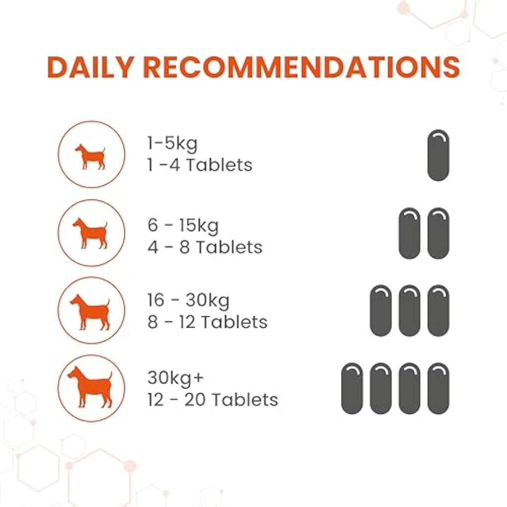 Vetzyme Dog Conditioning Tablets | B-Complex Vitamins | 3000 Count