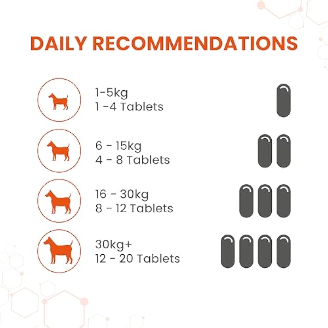 Vetzyme Dog Conditioning Tablets | B-Complex Vitamins | 3000 Count