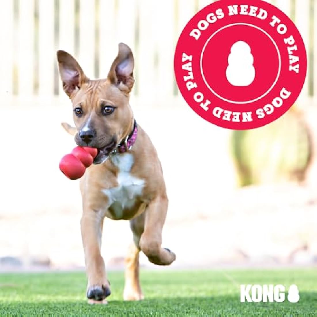 KONG Puppy Flyer – Durable Rubber Teething Flying Disc Toy for Puppies