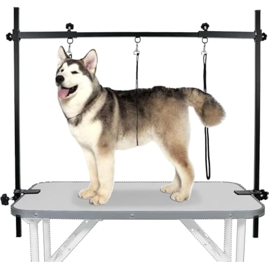 LEIBOU H-Shape Dog Grooming Arm | Heavy Duty Aluminum with 3 Nooses