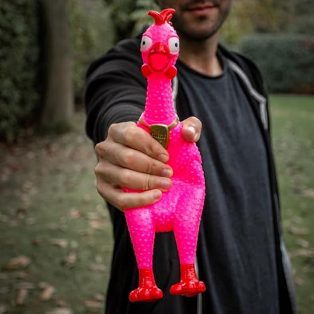 Animolds Squeaky Stress Chicken Toy – Medium 30cm Assorted Colors