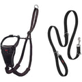 Halti No Pull Dog Harness & Training Leash Set | Black, Medium/Large