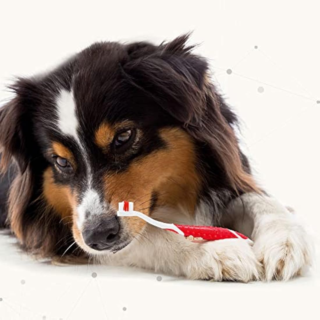 Beaphar Pet Dental Care Kit – Enzymatic Toothpaste & Toothbrush for Dogs