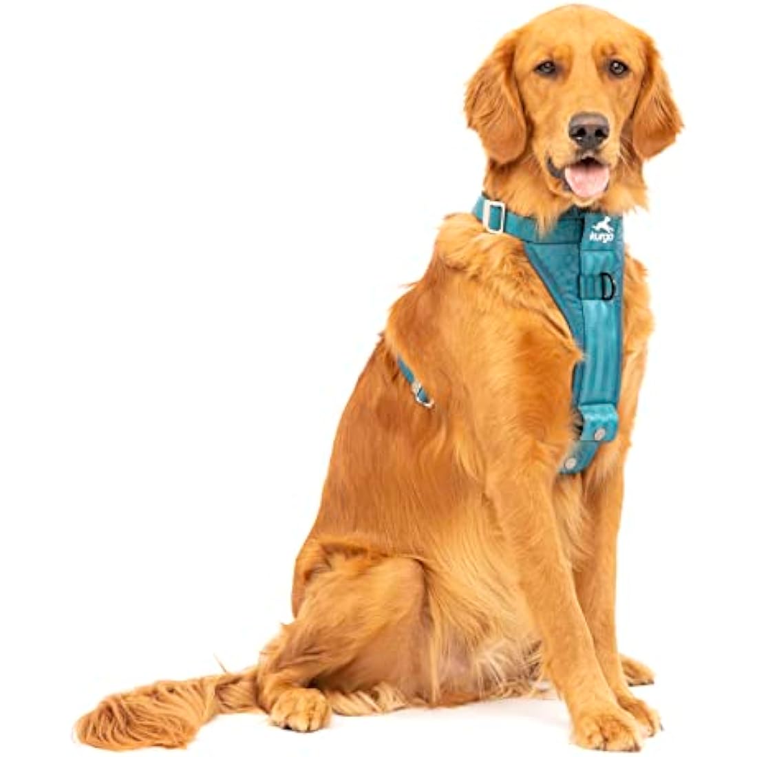 Kurgo Tru-Fit Smart Dog Harness | Crash Tested No-Pull - Ink Blue, XL