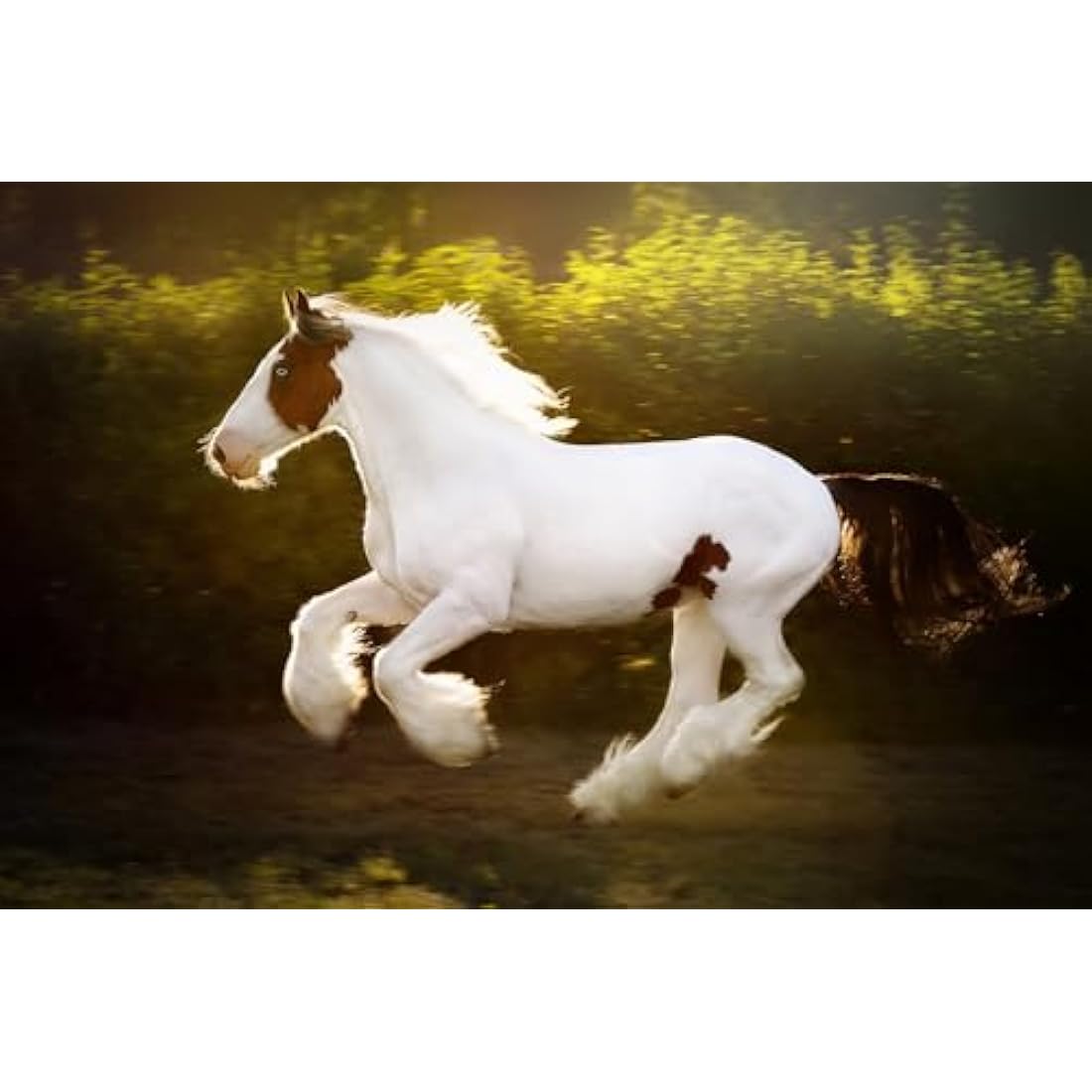 Farriers Equine Care Feather Mite Treatment for Horses – 1.5L Twin Pack