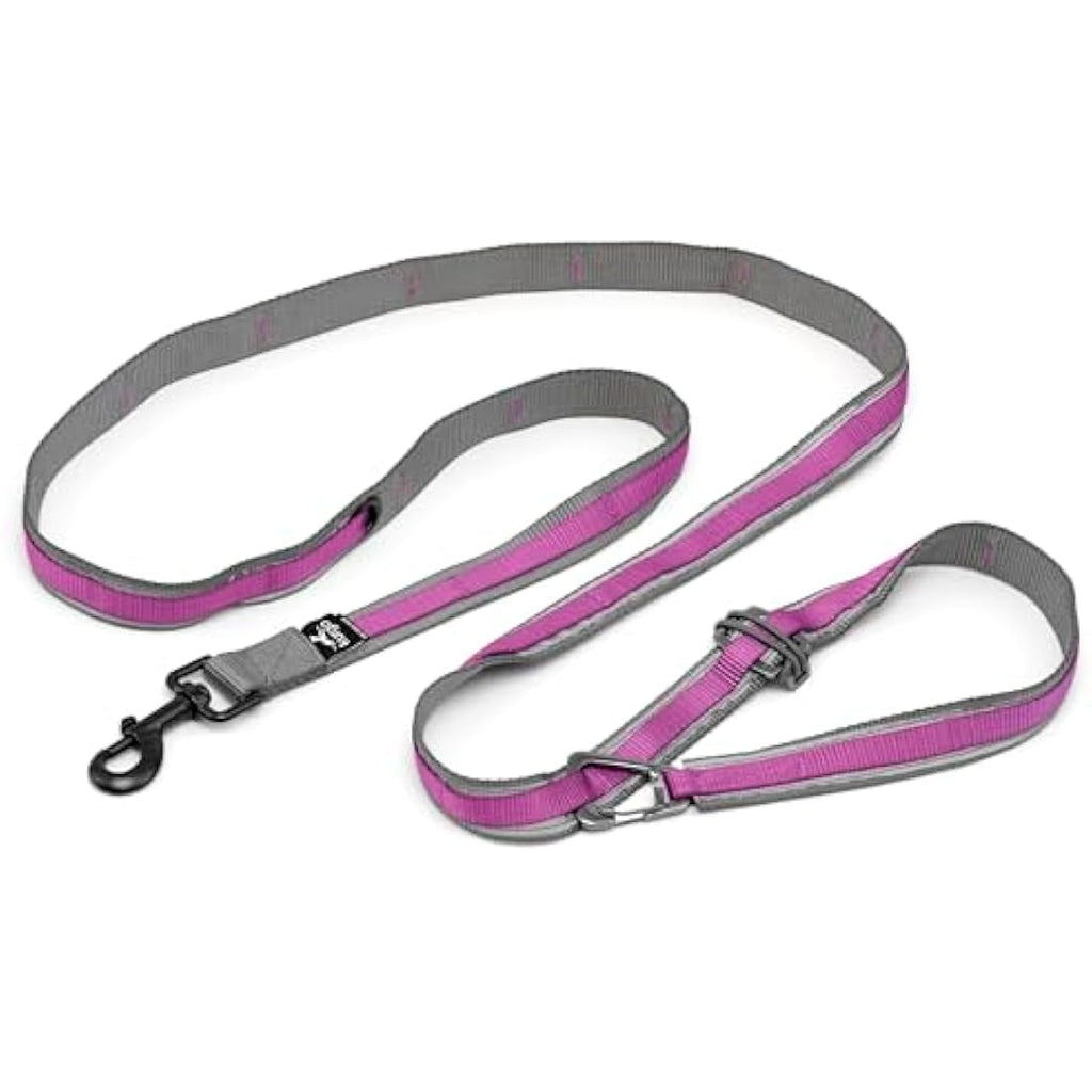 Jolof Store Quantum V2 6-in-1 Hands-Free Dog Leash - Reflective Violet