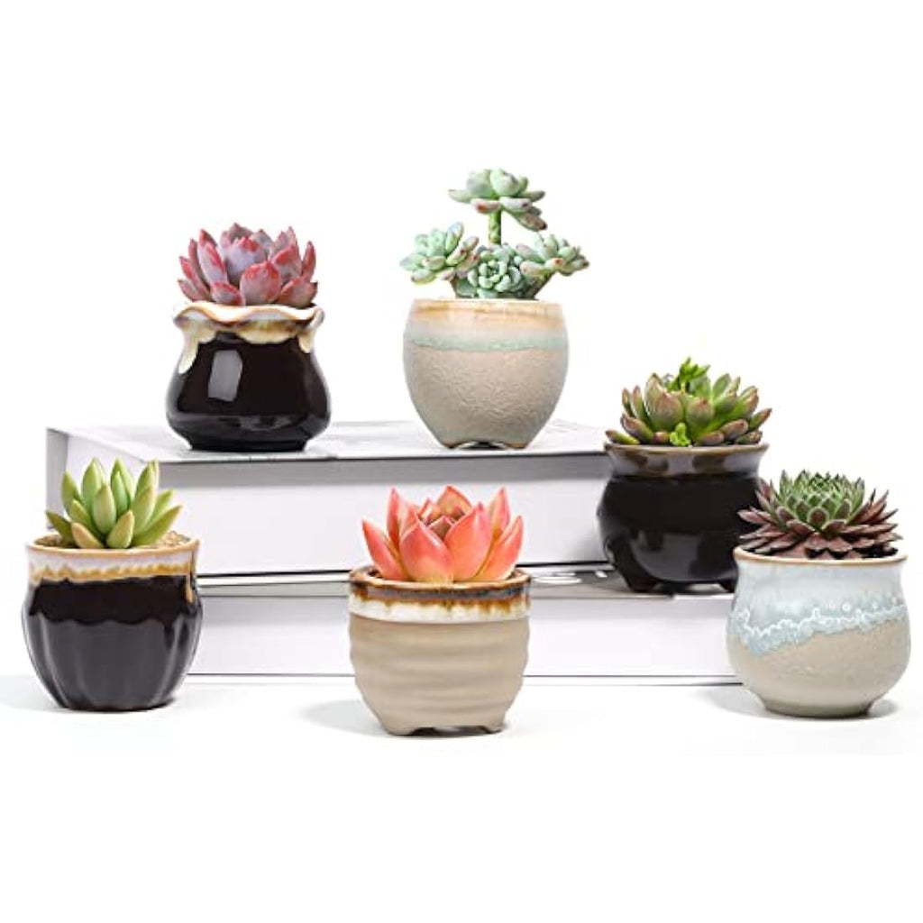 T4U Mini Ceramic Succulent Pots with Drainage - Set of 6 Porcelain Planters