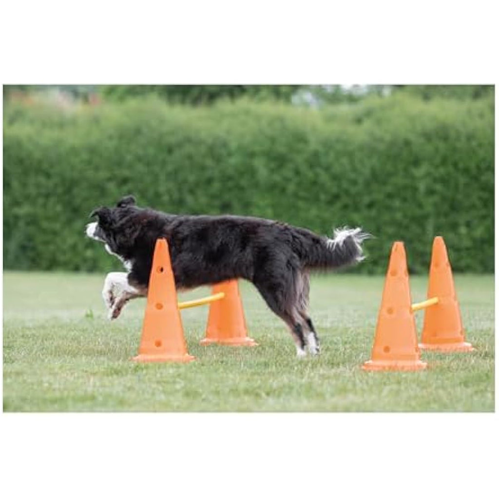 TRIXIE Dog Agility Obstacle Set – Adjustable Hurdles & Slalom Pylons