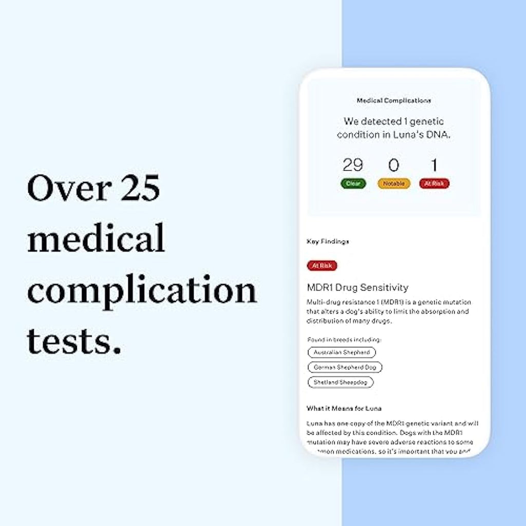 Wisdom Panel Essential Dog DNA Test Kit – Breed ID & Health Screening