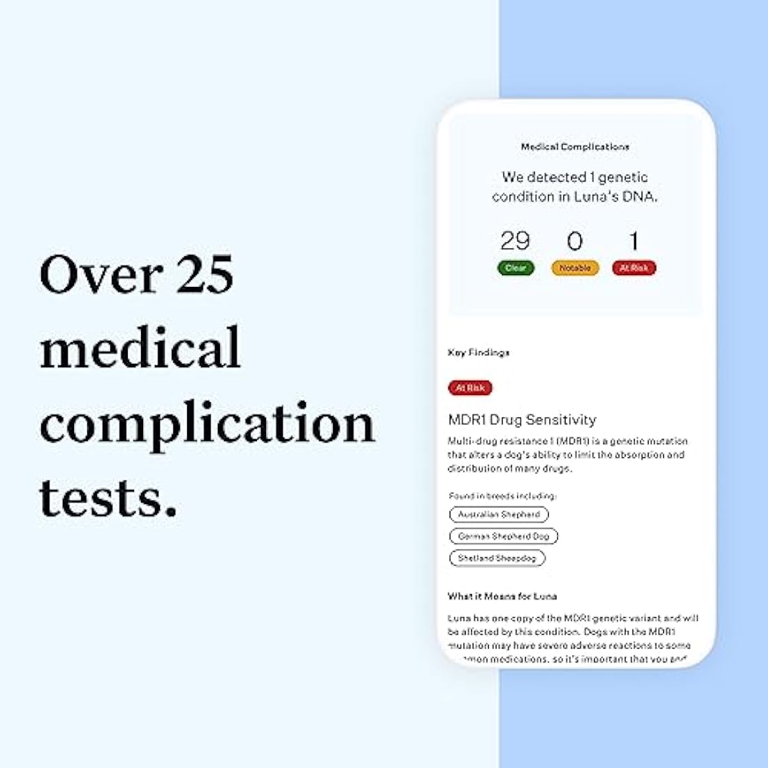 Wisdom Panel Essential Dog DNA Test Kit – Breed ID & Health Screening