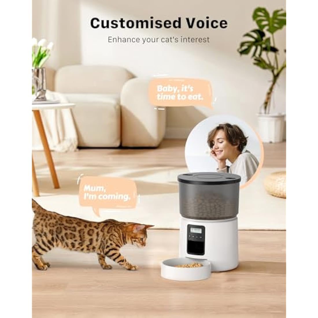 BEMOONY Automatic Cat Feeder - 3L Pet Food Dispenser with Voice Recorder