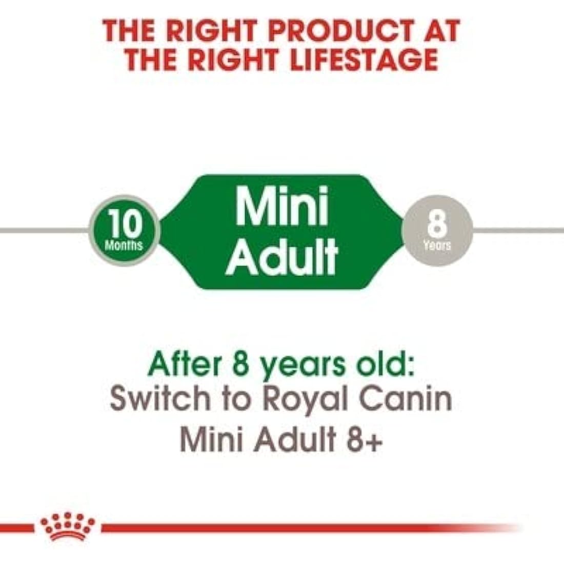 Royal Canin Mini Adult Dry Dog Food – Small Breed Nutrition, 8kg Bag