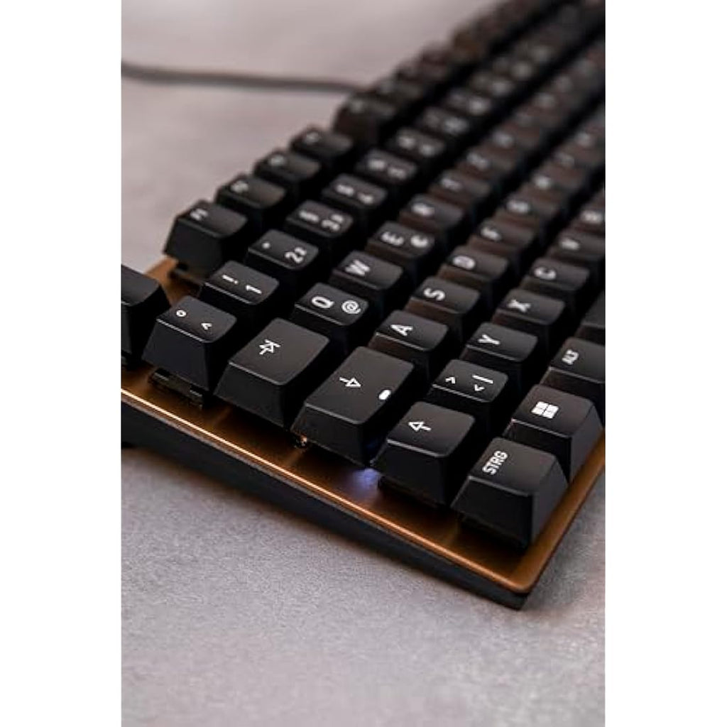 CHERRY KC 200 MX Mechanical Office Keyboard | MX2A Brown Switches