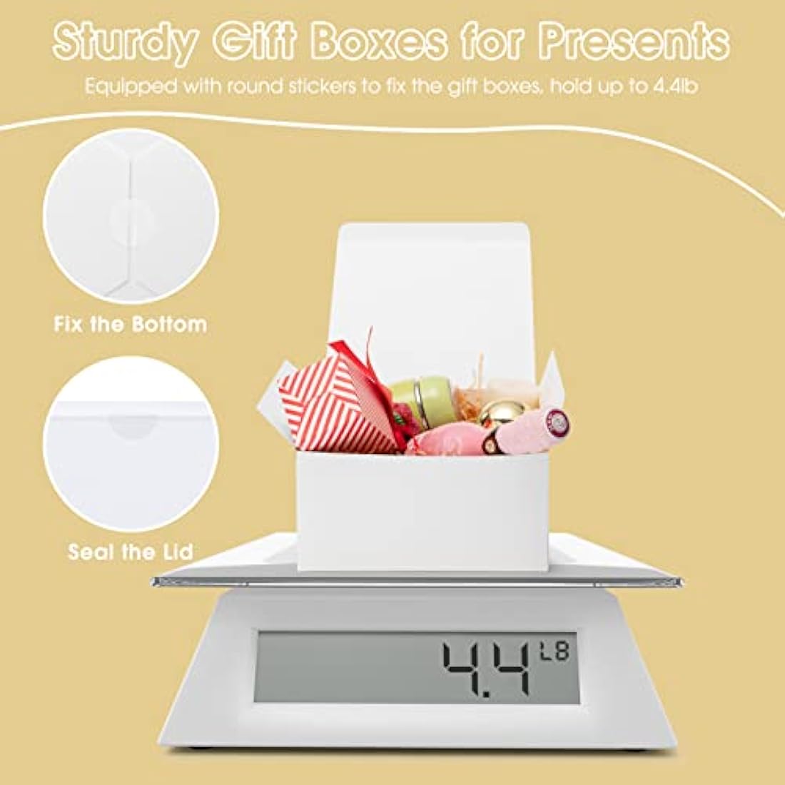 HOUSE DAY White Gift Boxes 20x20x10cm | 10 Pack Kraft Paper Cupcake Boxes