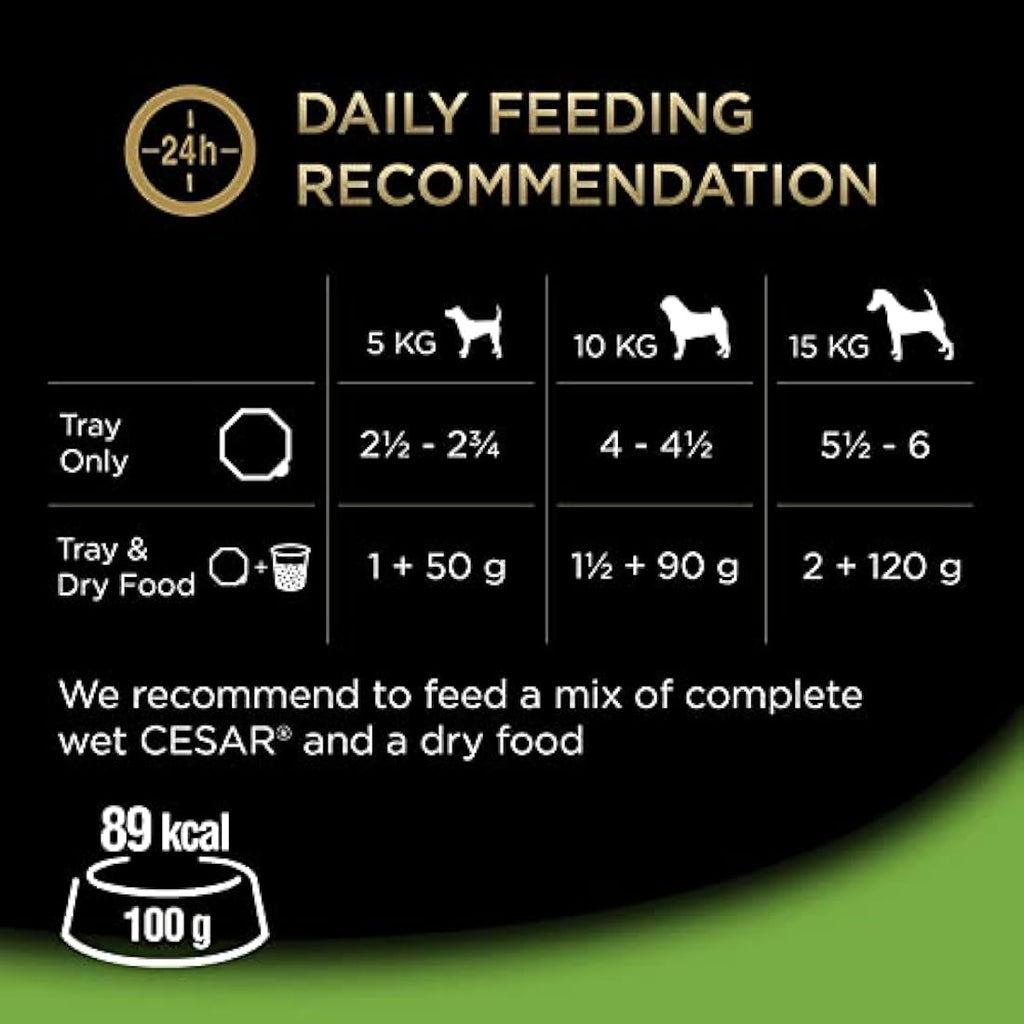 Cesar Garden Terrine Wet Dog Food – Mixed Selection Loaf, 24 x 150g
