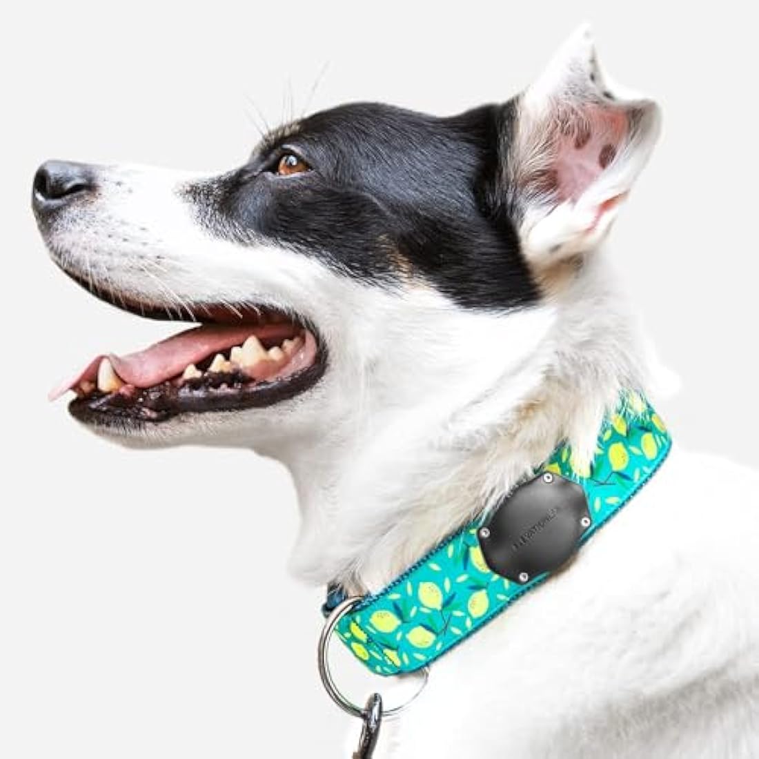 TagVault AirTag Dog Collar Mount - 4 Pack IP68 Waterproof