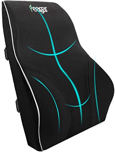 Feagar Lumbar Support Pillow – Memory Foam Back Cushion for Office & Car