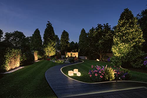 Plug & Shine Outdoor Controller | IP68 Remote Dimmer