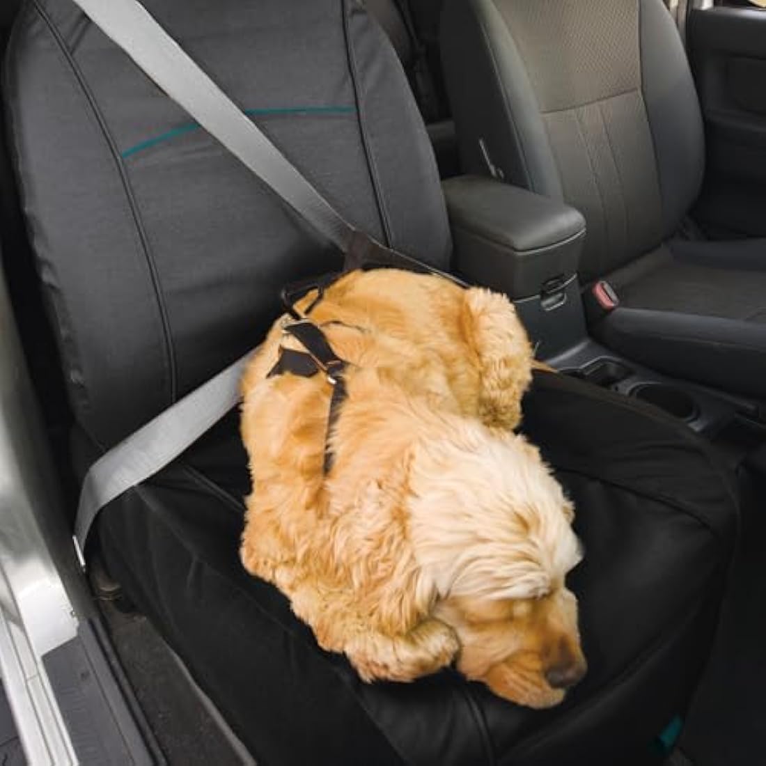 Kurgo Co-Pilot Dog Bucket Seat Cover | Waterproof & Washable - Black