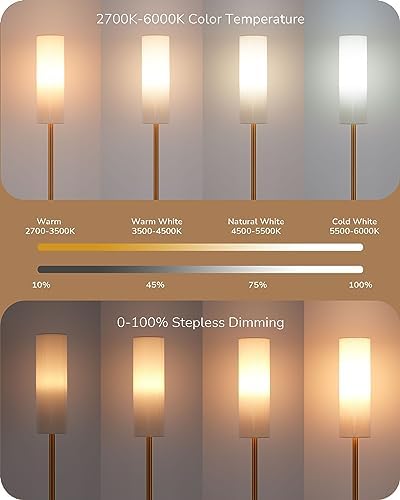 EDISHINE LED Floor Lamp | Dimmable Standing Lamp with Remote Control, Gold
