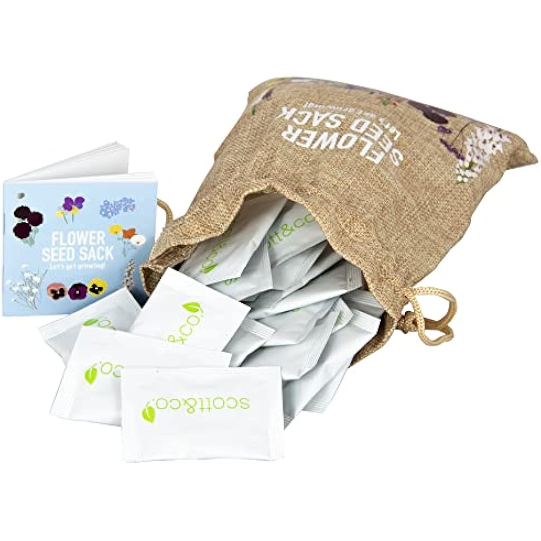 Scott&Co. Flower Seed Variety Pack | 30 Varieties for Bees & Butterflies