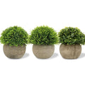 Jolof Store 3-Piece Artificial Potted Plants – Realistic Faux Greenery