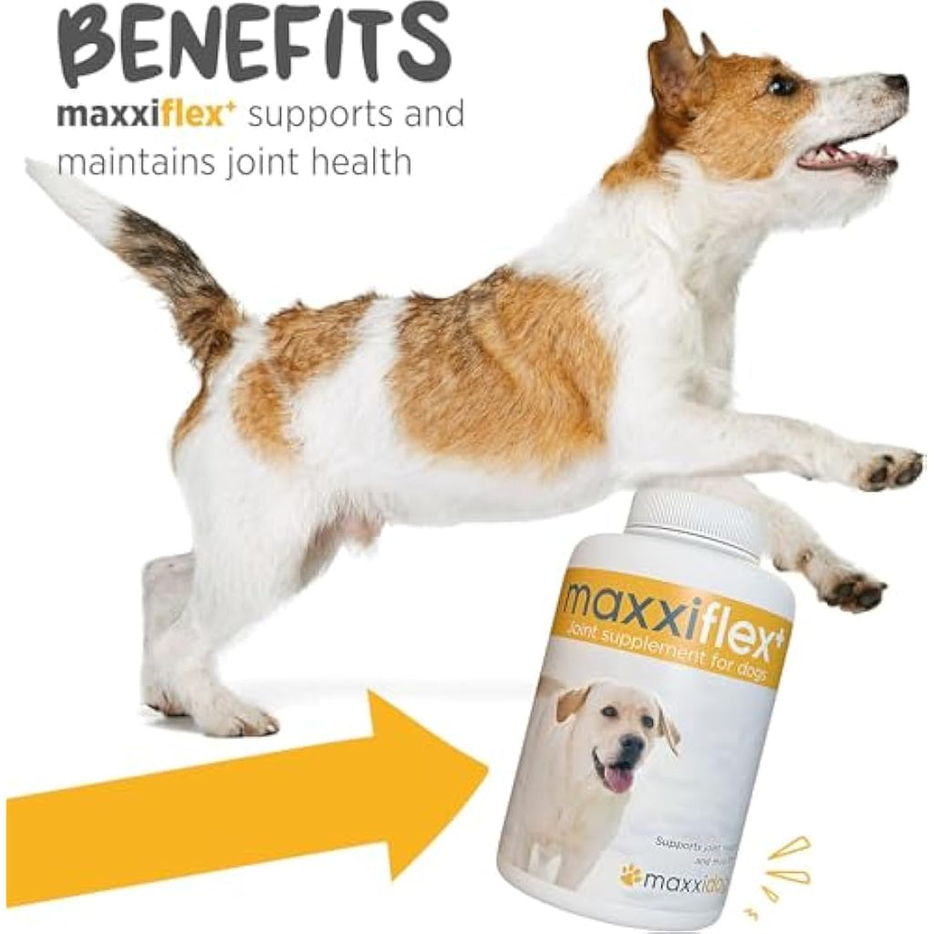 maxxipaws maxxiflex+ Dog Hip & Joint Supplement - Glucosamine - 120 Tablets