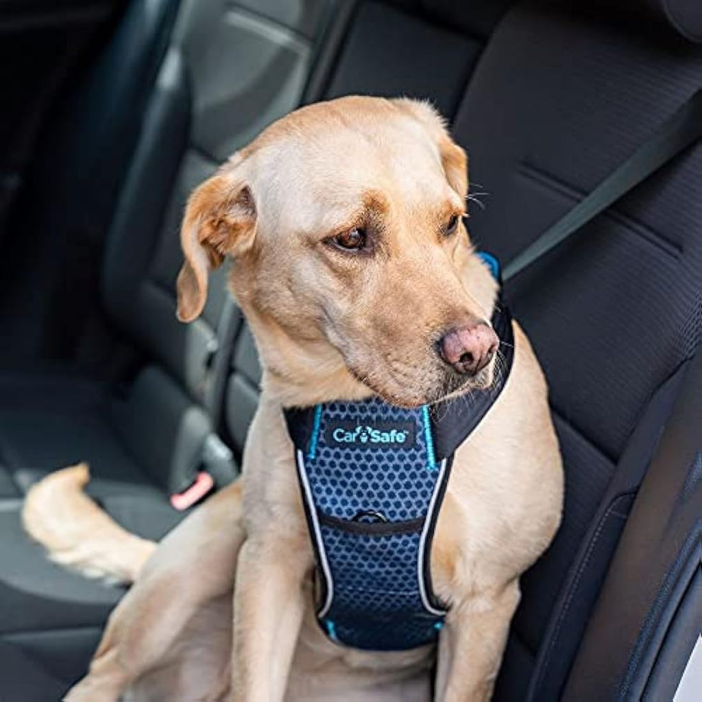 CarSafe Crash Tested Dog Safety Harness – Reflective Padded Car Vest