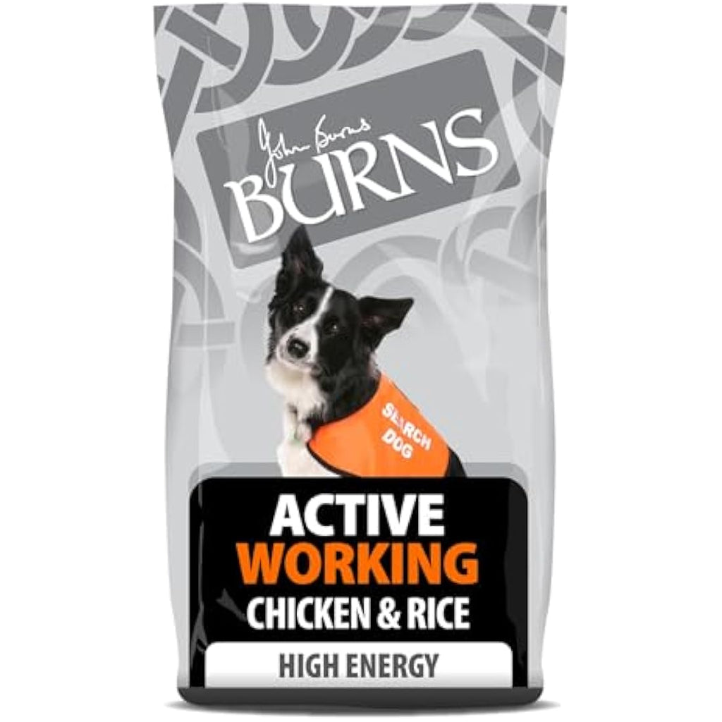 Burns Pet Nutrition Active Dog Food – Hypoallergenic Chicken & Rice 12kg