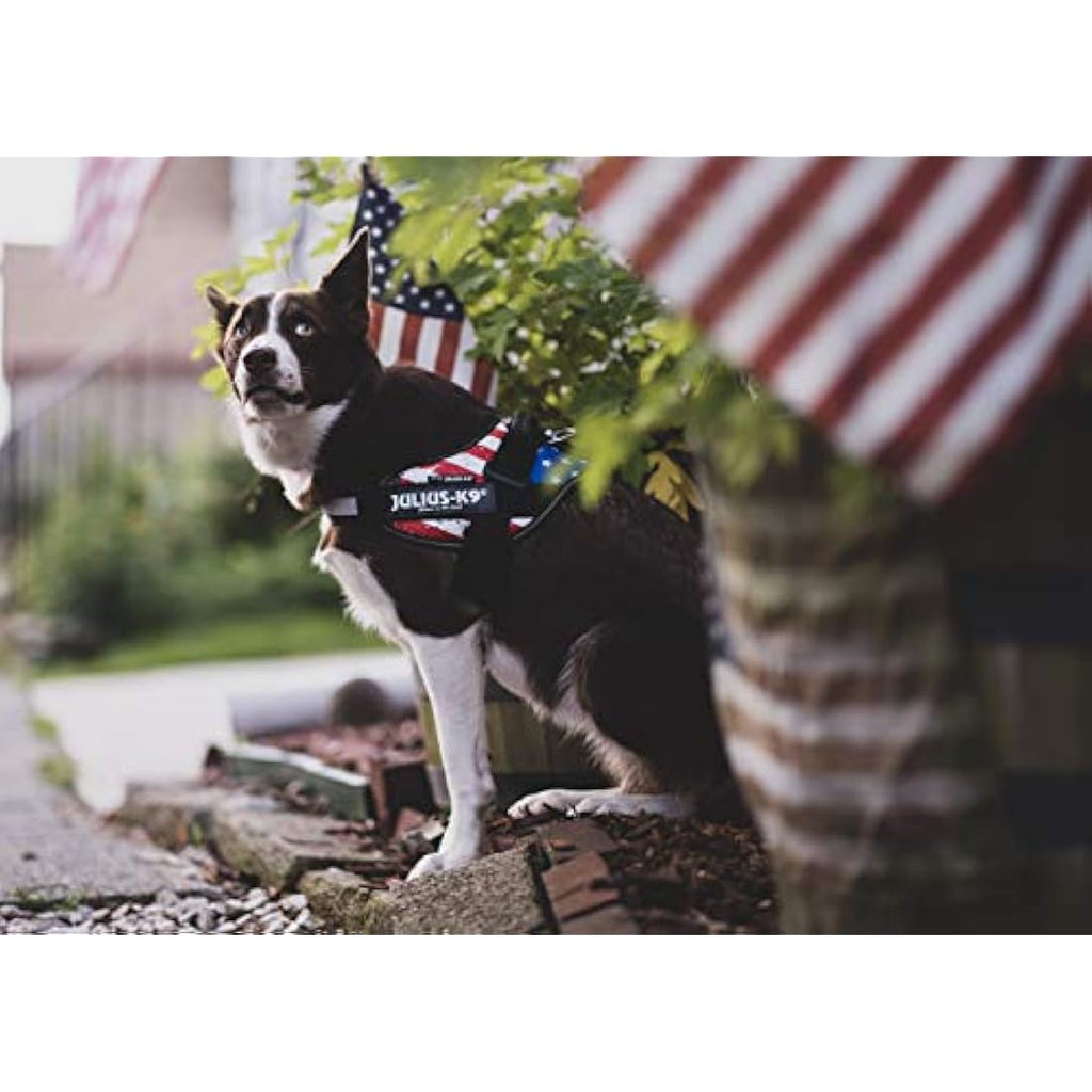 Jolof Store IDC Powerharness Dog Harness - USA Flag - Size L/1