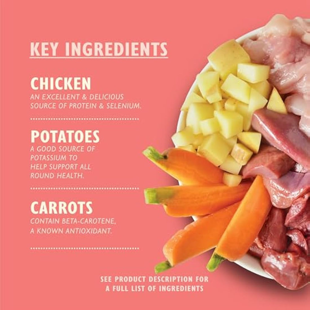 Lily's Kitchen Puppy Recipe Chicken Wet Dog Food - 10 x 150g Trays