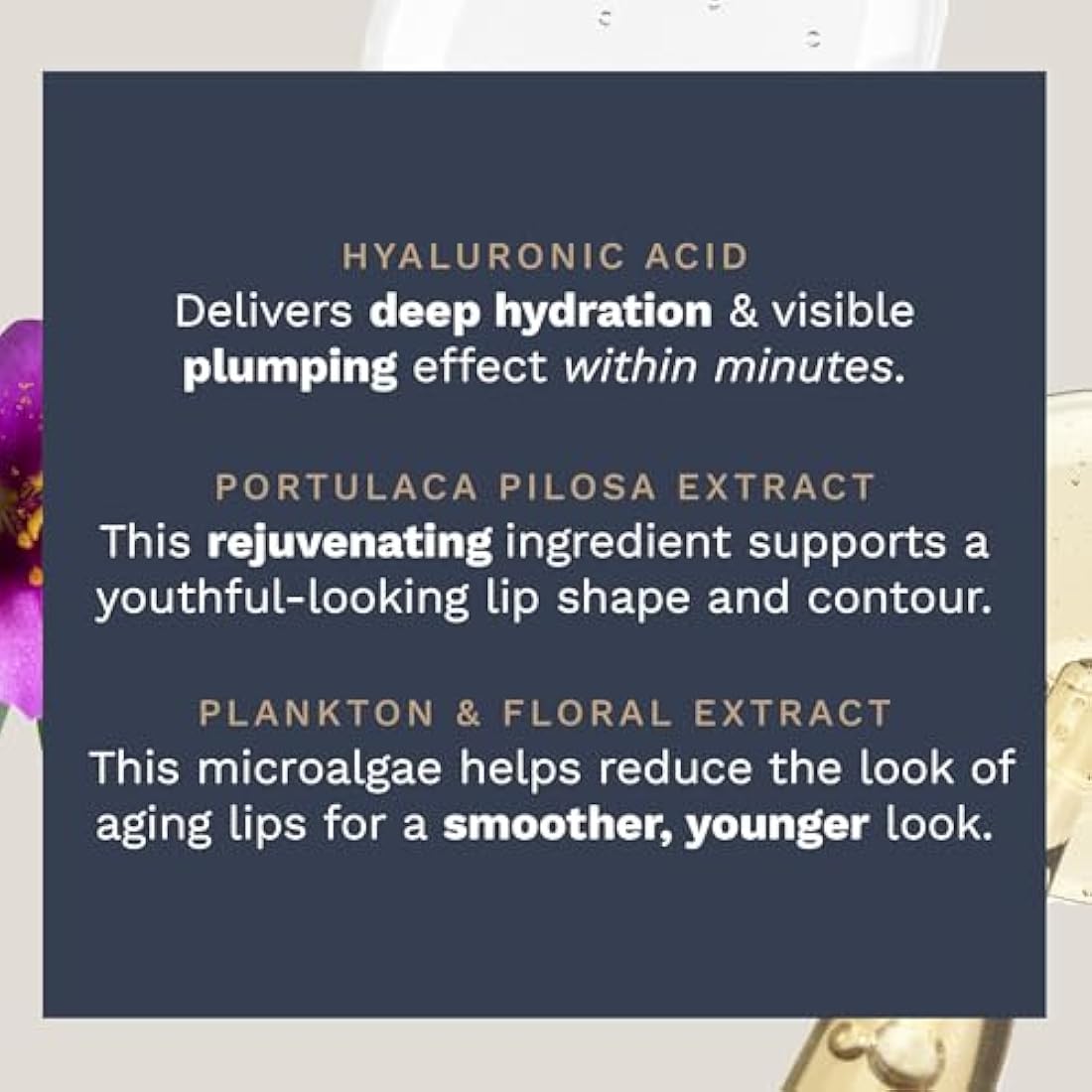 City Beauty City Lips Night Oil – Hyaluronic Acid Plumping Lip Treatment