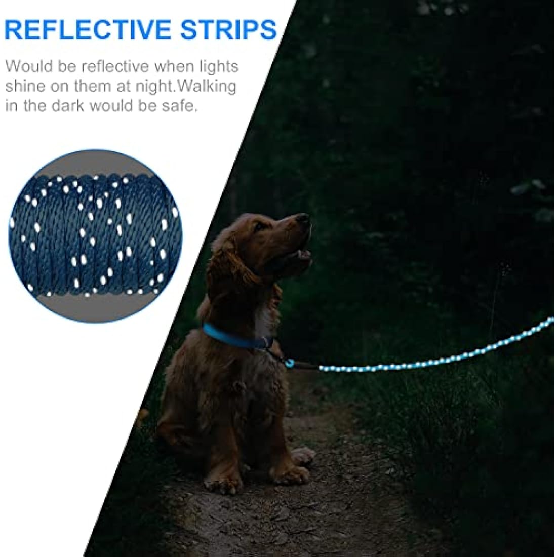 Long Dog Training Lead – 10M Reflective Nylon Puppy Leash